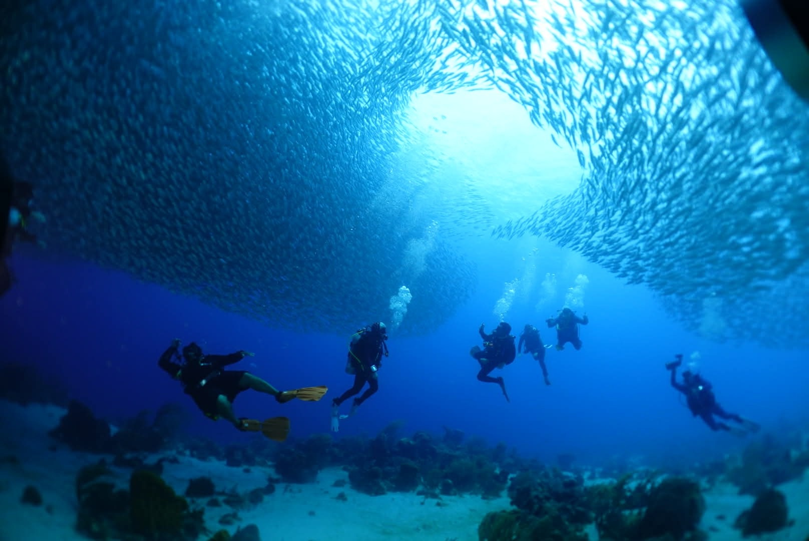 SDI Advanced Adventure Diver