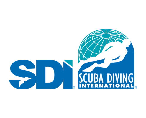 Logo officiel SDI - Scuba Diving International